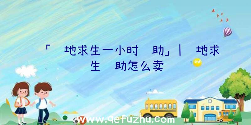 「绝地求生一小时辅助」|绝地求生辅助怎么卖